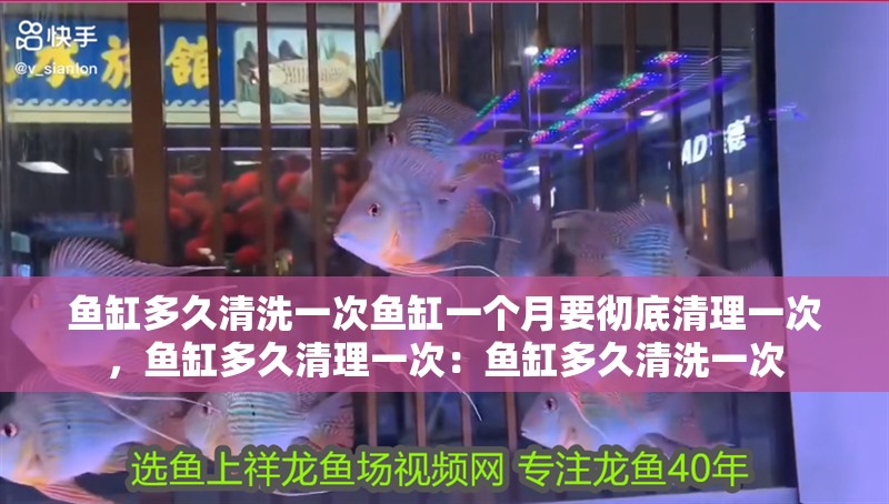 魚缸多久清洗一次魚缸一個月要徹底清理一次，魚缸多久清理一次：魚缸多久清洗一次
