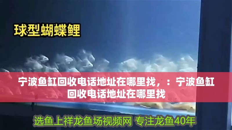 寧波魚缸回收電話地址在哪里找，：寧波魚缸回收電話地址在哪里找