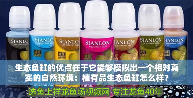 生態魚缸的優點在于它能夠模擬出一個相對真實的自然環境：植有品生態魚缸怎么樣？