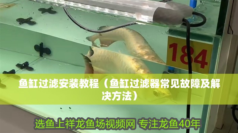 魚缸過濾安裝教程（魚缸過濾器常見故障及解決方法）