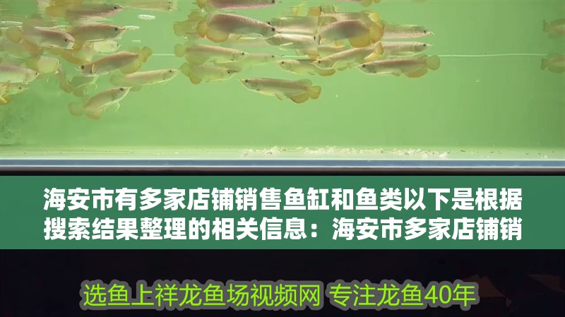 <strong><mark>海安</mark></strong>市有多家店鋪銷售魚缸和魚類以下是根據搜索結果整理的相關信息：<strong><mark>海安</mark></strong>市多家店鋪銷售魚缸和魚類