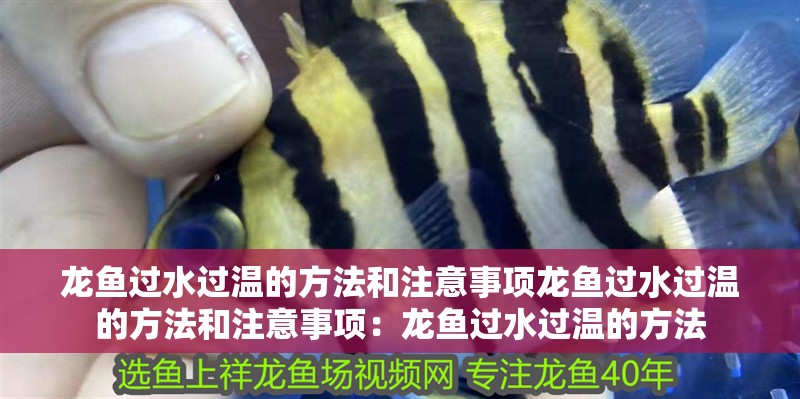 龍魚過水過溫的方法和注意事項龍魚過水過溫的方法和注意事項：龍魚過水過溫的方法