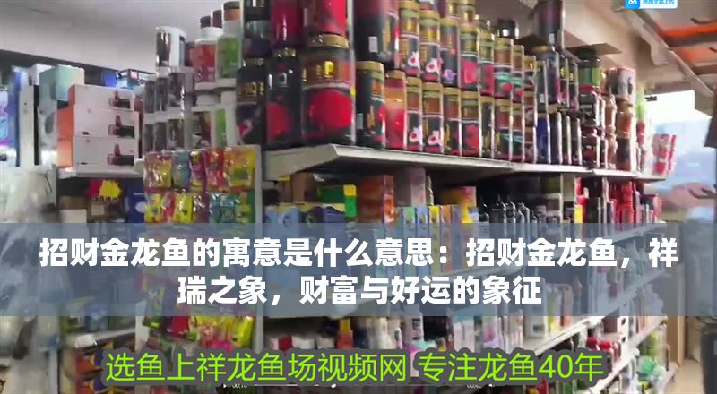 招財金龍魚的寓意是什么意思：招財金龍魚，祥瑞之象，財富與好運(yùn)的象征