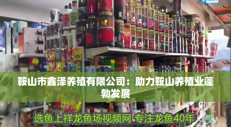 鞍山市鑫澤養殖有限公司：助力鞍山養殖業蓬勃發展