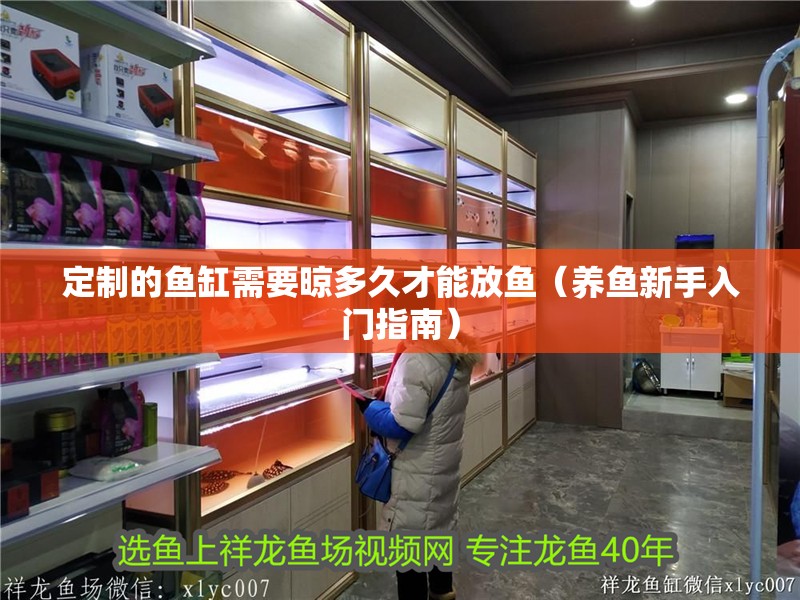 定制的魚缸需要晾多久才能放魚（養魚新手入門指南）