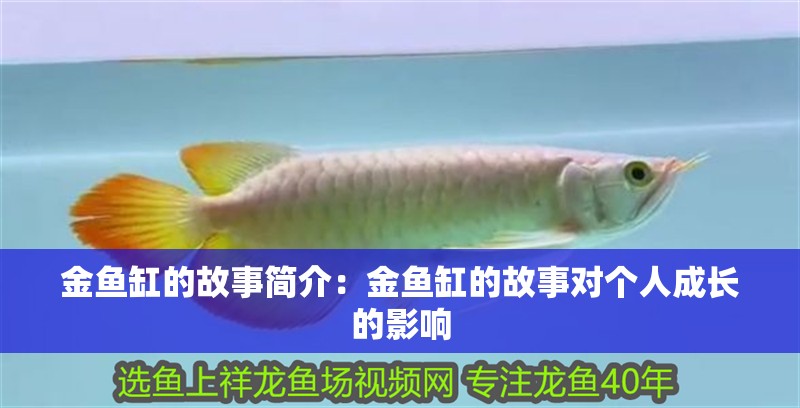 金魚缸的故事簡(jiǎn)介：金魚缸的故事對(duì)個(gè)人成長(zhǎng)的影響