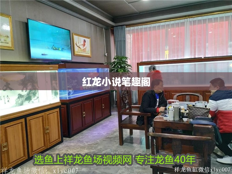 紅龍小說筆趣閣