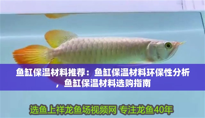 魚(yú)缸保溫材料推薦：魚(yú)缸保溫材料環(huán)保性分析，魚(yú)缸保溫材料選購(gòu)指南