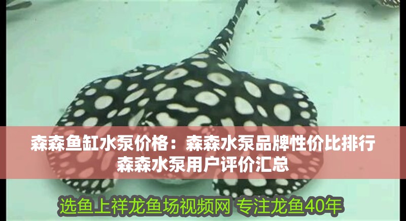 魚缸過濾器選購指南:自制魚缸過濾器魚缸上置過濾器對于養魚愛好者的必備知識 森森魚缸水泵價格:森森水泵品牌性價比排行森森水泵用戶評價匯總 魚缸百科 森森魚缸水泵價格:森森水泵品牌性價比排行森森水泵用戶評價匯總 森森魚缸水泵價格:森森水泵品牌性價比排行森森水泵用戶評價匯總 魚缸百科