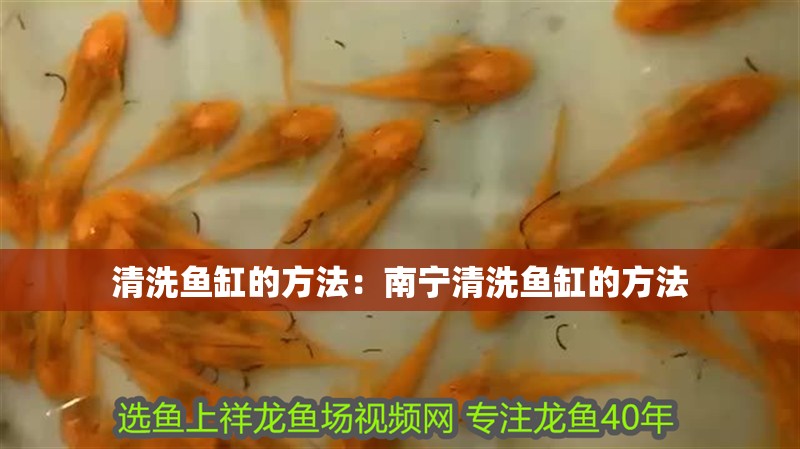 清洗魚缸的方法：南寧清洗魚缸的方法