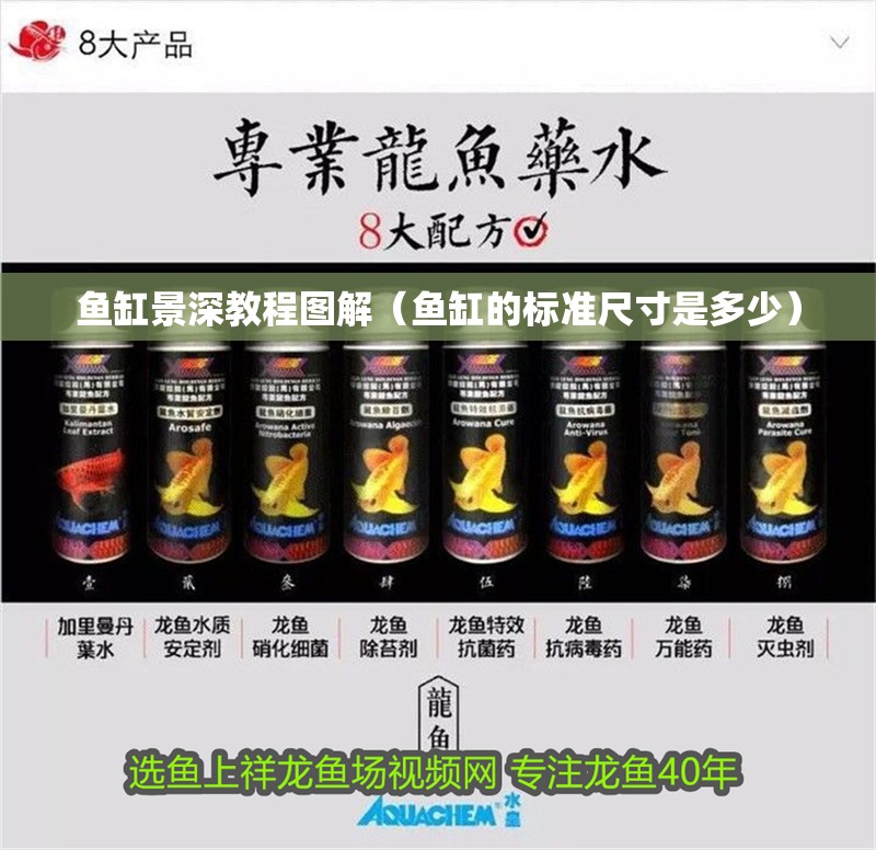 魚缸景深教程圖解（魚缸的標準尺寸是多少）