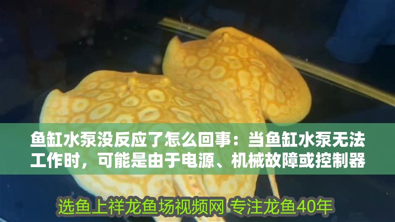 魚缸水泵沒反應(yīng)了怎么回事：當(dāng)魚缸水泵無法工作時，可能是由于電源、機械故障或控制器問題導(dǎo)致的