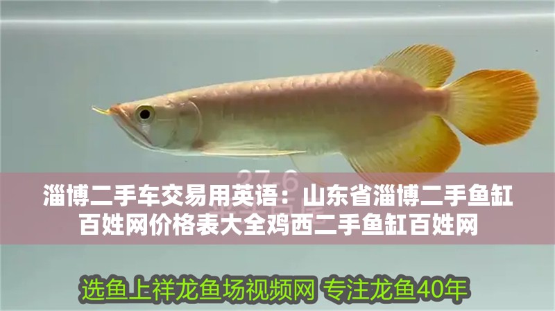 淄博二手車交易用英語：山東省淄博二手魚缸百姓網(wǎng)價格表大全雞西二手魚缸百姓網(wǎng)