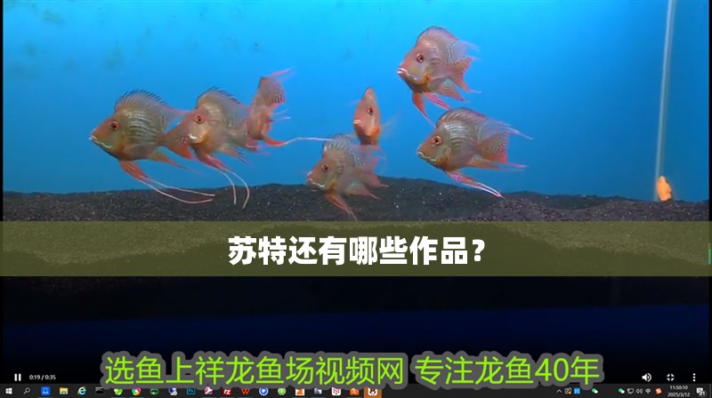 蘇特還有哪些作品？