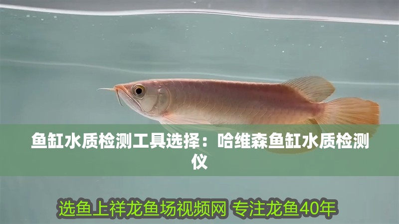 魚(yú)缸水質(zhì)檢測(cè)工具選擇：哈維森魚(yú)缸水質(zhì)檢測(cè)儀