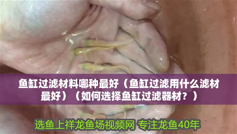 魚缸過濾材料哪種最好（魚缸過濾用什么濾材最好）（如何選擇魚缸過濾器材？）