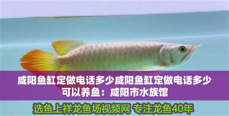 咸陽魚缸定做電話多少咸陽魚缸定做電話多少可以養魚：咸陽市水族館