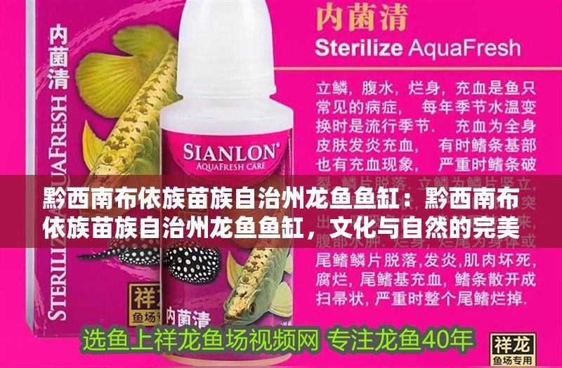 黔西南布依族苗族自治州龍魚魚缸：黔西南布依族苗族自治州龍魚魚缸，文化與自然的完美融合