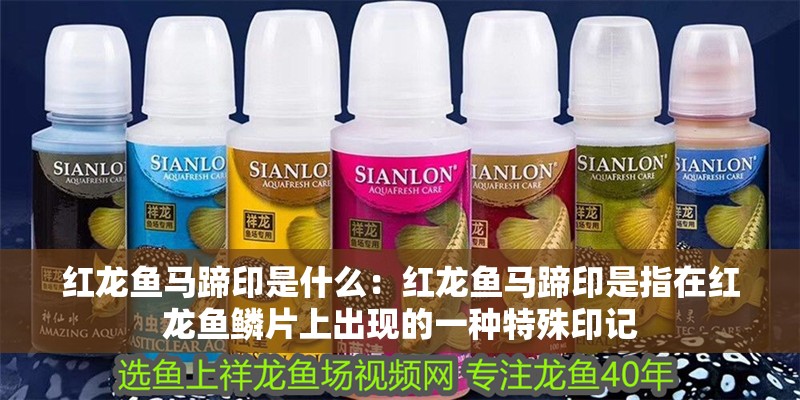 紅龍魚馬蹄印是什么：紅龍魚馬蹄印是指在紅龍魚鱗片上出現的一種特殊印記