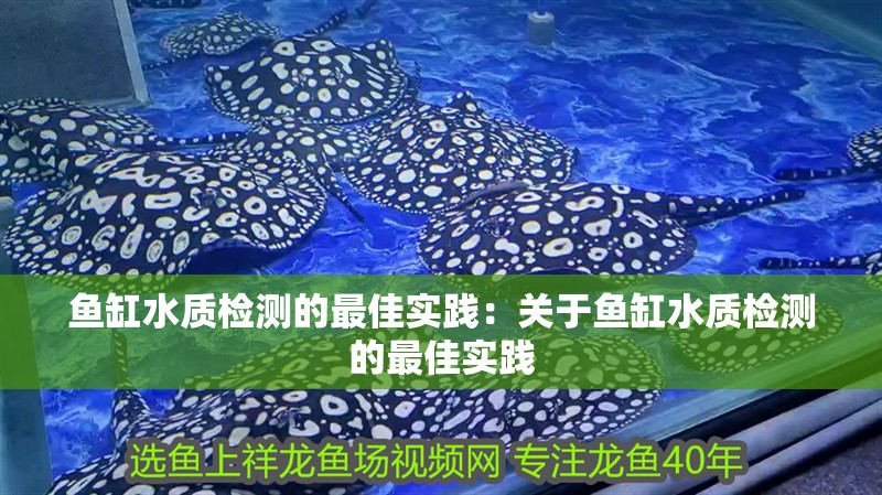 魚缸水質(zhì)檢測的最佳實踐：關(guān)于魚缸水質(zhì)檢測的最佳實踐