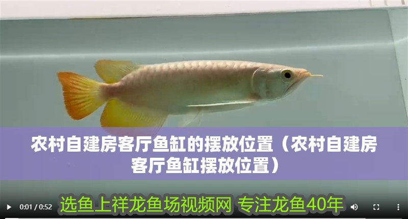 詳細閱讀:農村自建房客廳魚缸的擺放位置(農村自建房客廳魚缸擺放位置) 農村自建房客廳魚缸的擺放位置(農村自建房客廳魚缸擺放位置)