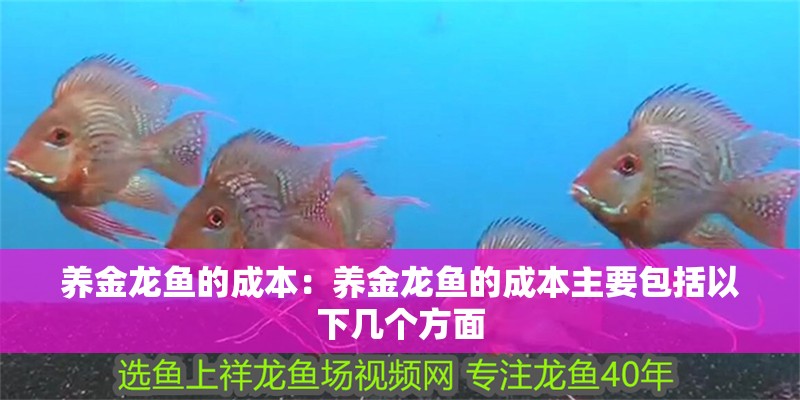 養(yǎng)金龍魚的成本：養(yǎng)金龍魚的成本主要包括以下幾個方面