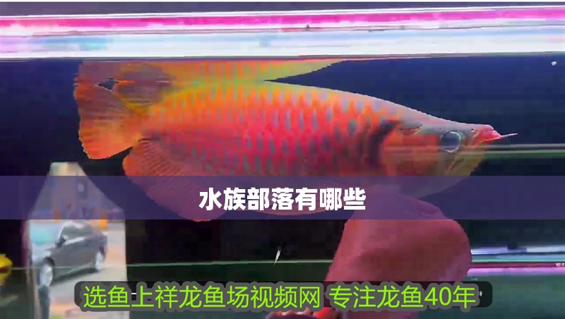 水族部落有哪些