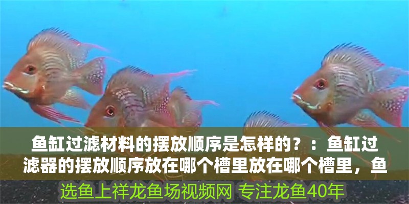魚缸過濾材料的擺放順序是怎樣的？：魚缸過濾器的擺放順序放在哪個槽里放在哪個槽里，魚缸過濾器