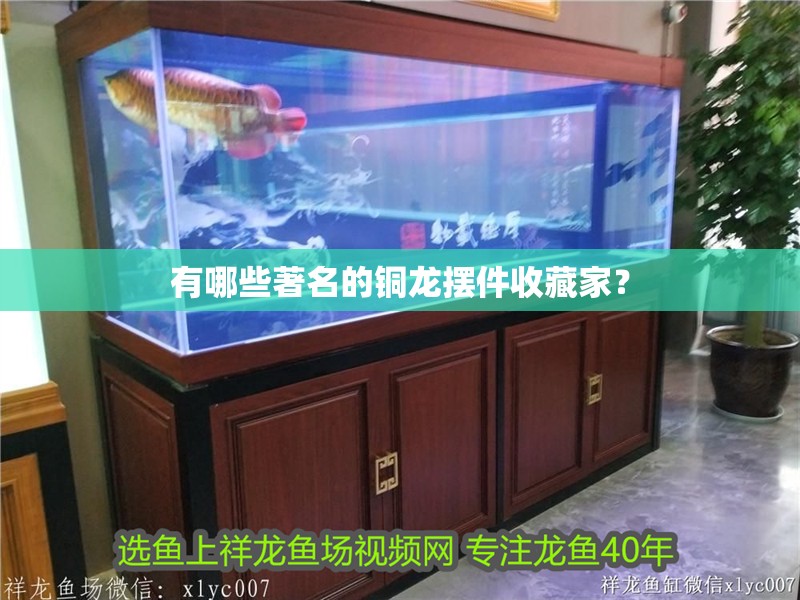 有哪些著名的銅龍擺件收藏家？