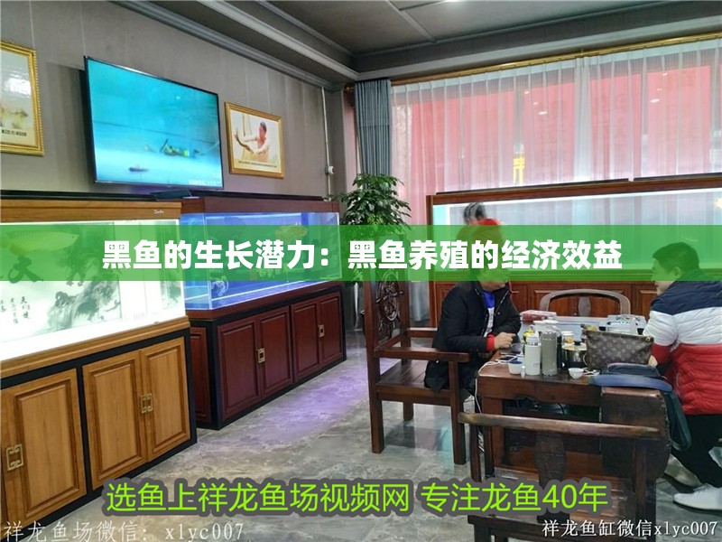 黑魚的生長潛力：黑魚養殖的經濟效益