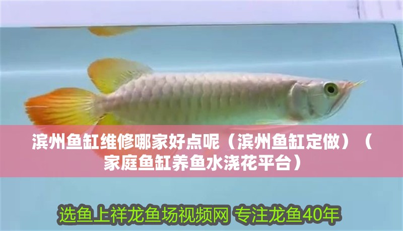 濱州魚缸維修哪家好點呢（濱州魚缸定做）（家庭魚缸養魚水澆花平臺）