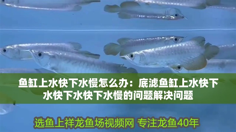 魚缸上水快下水慢怎么辦：底濾魚缸上水快下水快下水快下水慢的問題解決問題