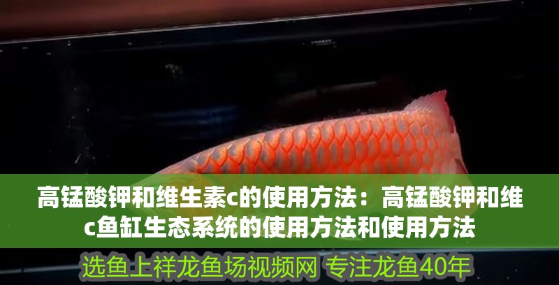 高錳酸鉀和維生素c的使用方法：高錳酸鉀和維c魚缸生態(tài)系統(tǒng)的使用方法和使用方法