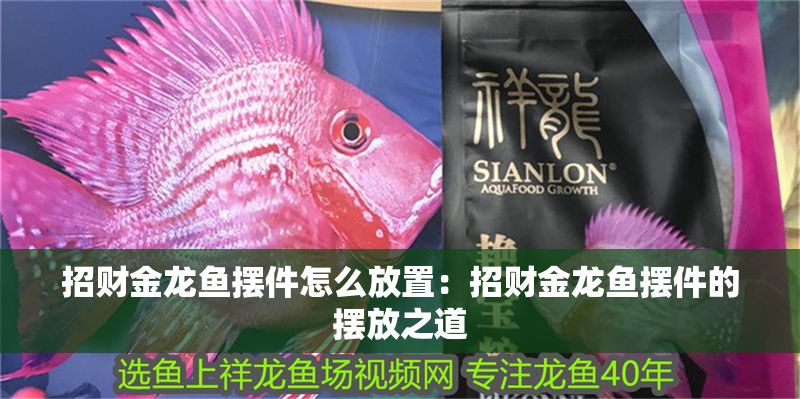 招財金龍魚擺件怎么放置：招財金龍魚擺件的擺放之道