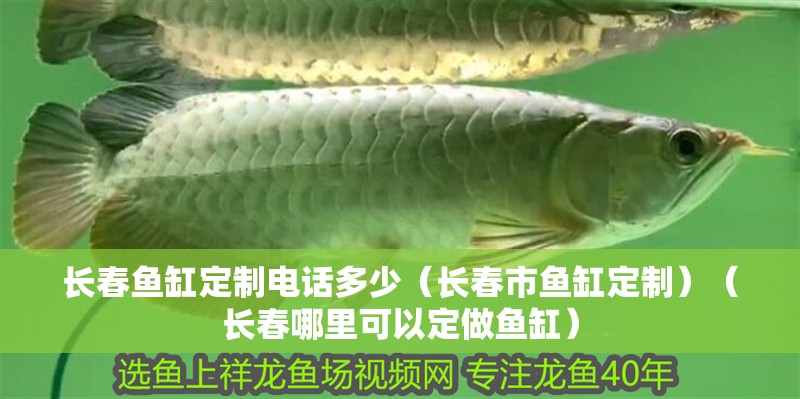 長春魚缸定制電話多少（長春市魚缸定制）（長春哪里可以定做魚缸）