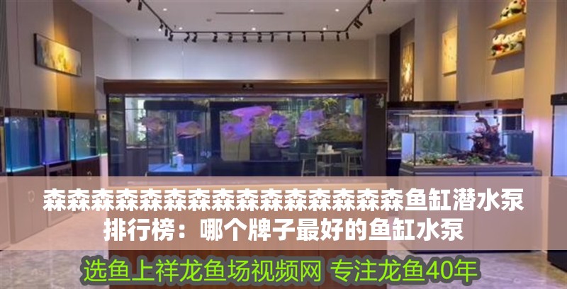 森森森森森森森森森森森森森森森魚缸潛水泵排行榜：哪個(gè)牌子最好的魚缸水泵