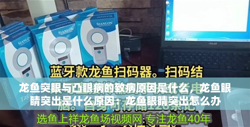 龍魚突眼與凸眼病的致病原因是什么，龍魚眼睛突出是什么原因：龍魚眼睛突出怎么辦