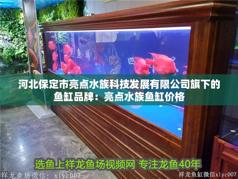 河北保定市亮點(diǎn)水族科技發(fā)展有限公司旗下的魚缸品牌：亮點(diǎn)水族魚缸價(jià)格