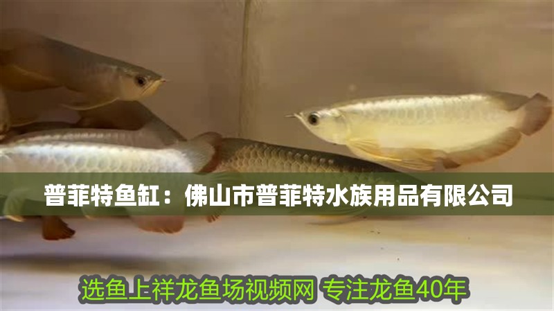 普菲特魚缸：佛山市普菲特水族用品有限公司