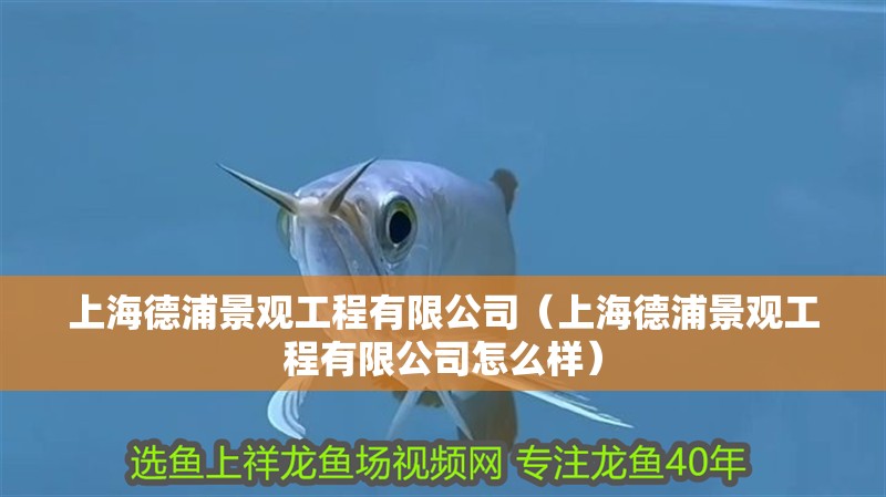 上海德浦景觀工程有限公司（上海德浦景觀工程有限公司怎么樣）