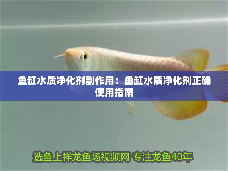 魚缸水質凈化劑副作用：魚缸水質凈化劑正確使用指南 魚缸水質凈化劑副作用：魚缸水質凈化劑正確使用指南 魚缸百科