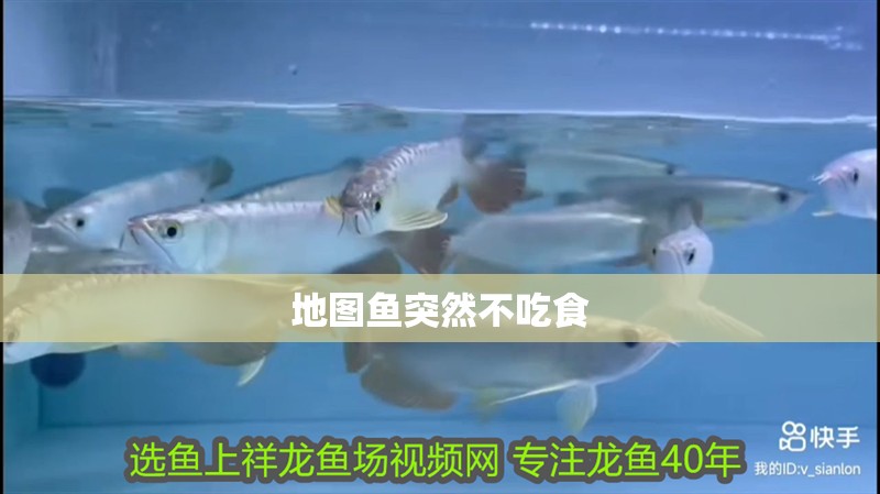 地圖魚突然不吃食