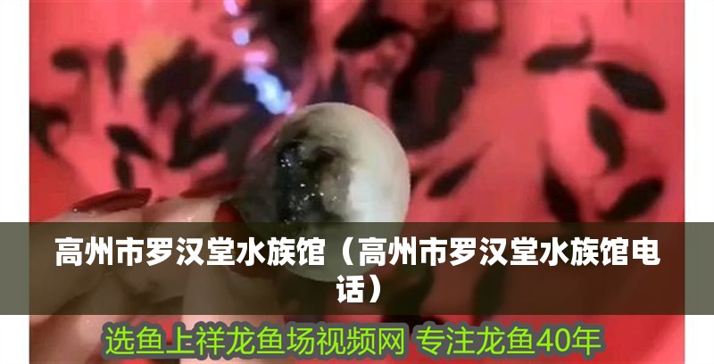 高州市羅漢堂水族館（高州市羅漢堂水族館電話）