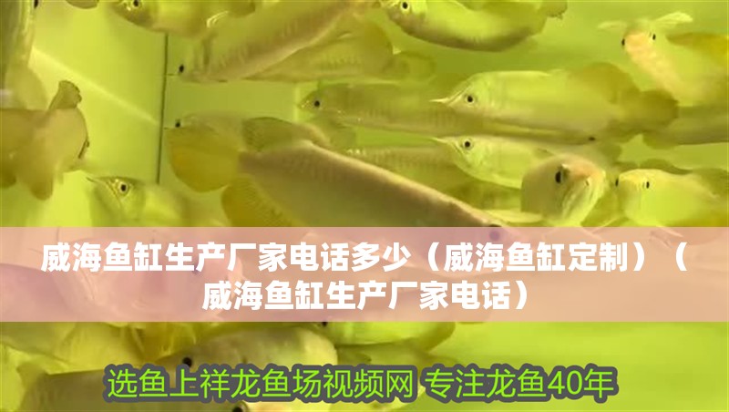 <strong><mark>威海</mark></strong>魚缸生產廠家電話多少（<strong><mark>威海</mark></strong>魚缸定制）（<strong><mark>威海</mark></strong>魚缸生產廠家電話）