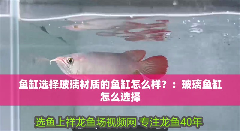 魚缸選擇玻璃材質的魚缸怎么樣？：玻璃魚缸怎么選擇