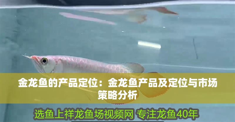 金龍魚的產品定位：金龍魚產品及定位與市場策略分析
