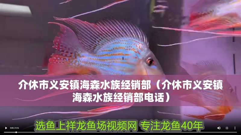 介休市義安鎮(zhèn)海森水族經(jīng)銷部（介休市義安鎮(zhèn)海森水族經(jīng)銷部電話）