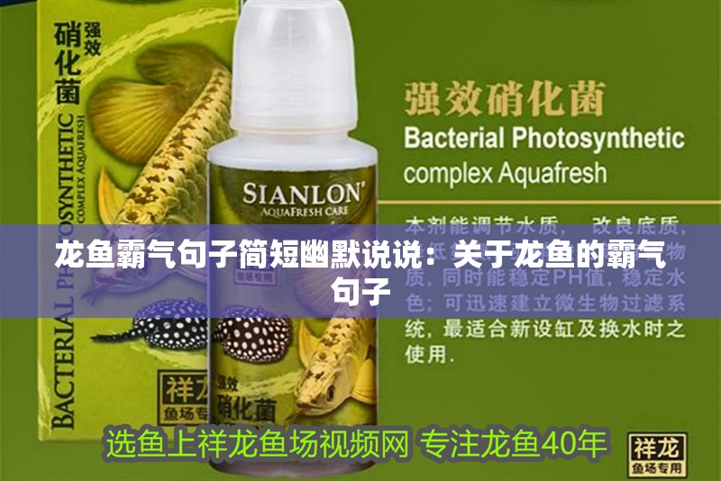 龍魚霸氣句子簡短幽默說說：關于龍魚的霸氣句子