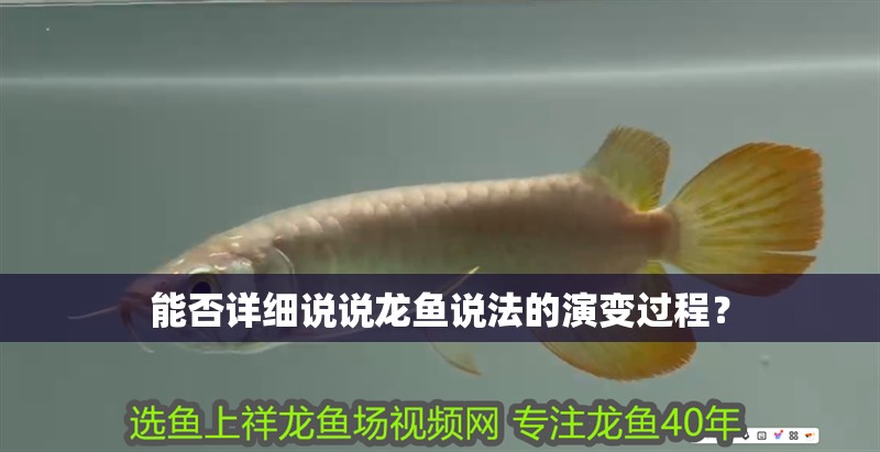 能否詳細(xì)說說龍魚說法的演變過程？