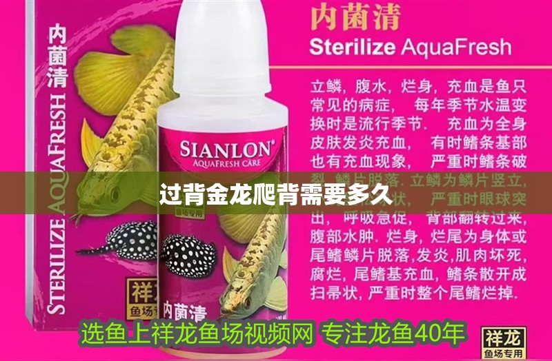 過背金龍爬背需要多久